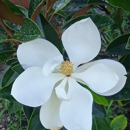 Apartamento Ca' Giorgio *