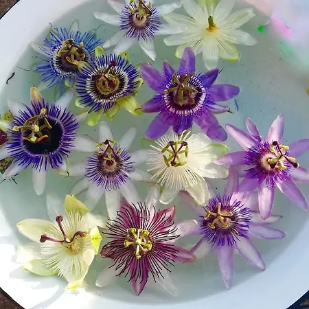 Ca' Giorgio Cavallino-Treporti