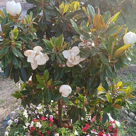 Apartamento Ca' Giorgio *