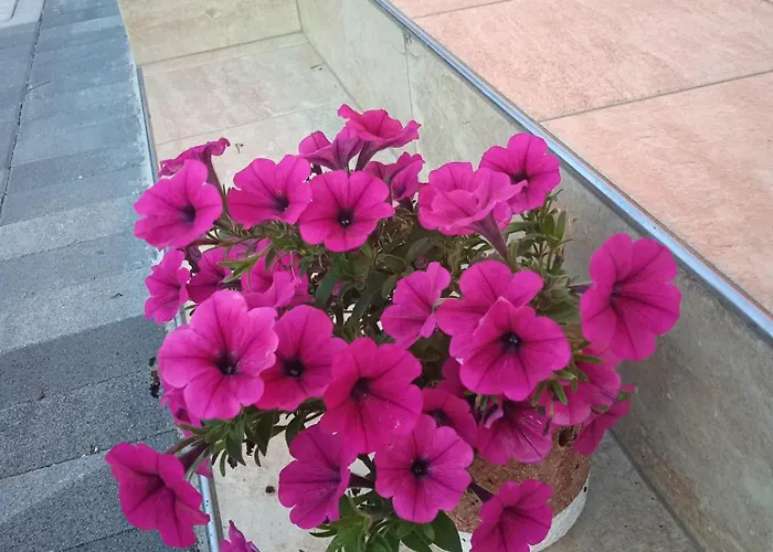 Ca' Giorgio Appartamento