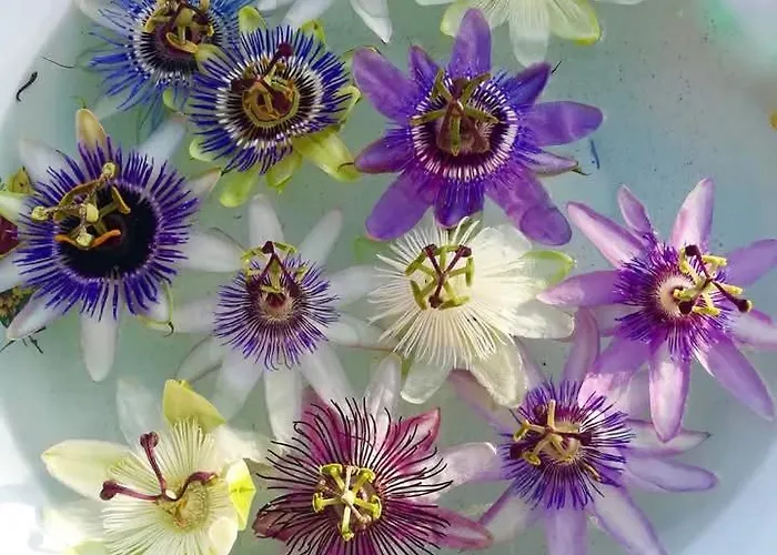 Ca' Giorgio Cavallino-Treporti