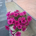 Ca' Giorgio Apartman