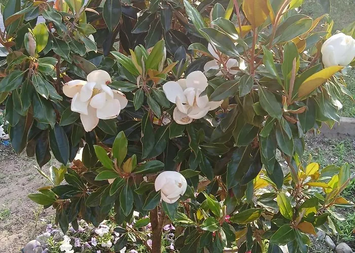 Appartement Ca' Giorgio *